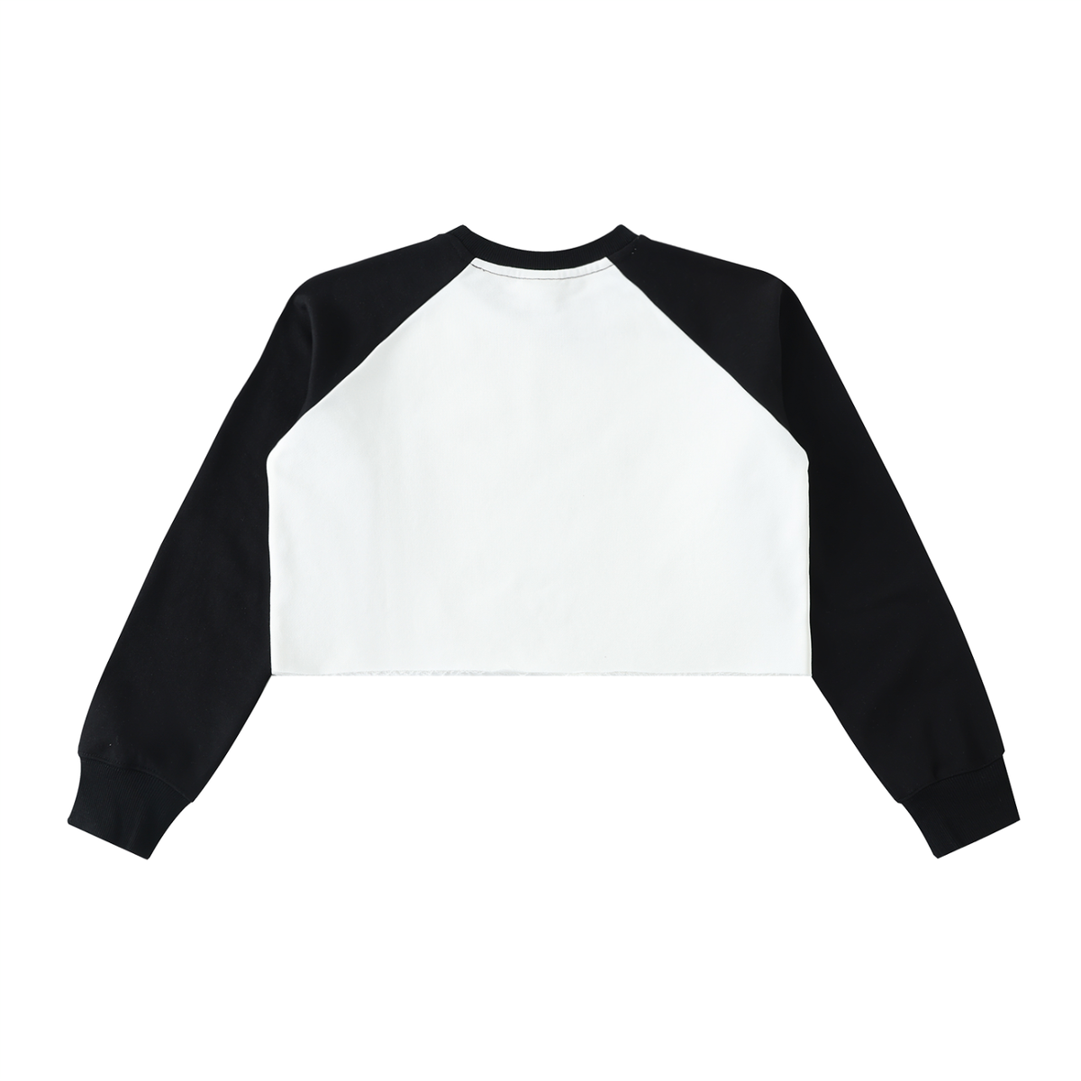 Dont touch me Color-Block Crop Sweatshirt — product back
