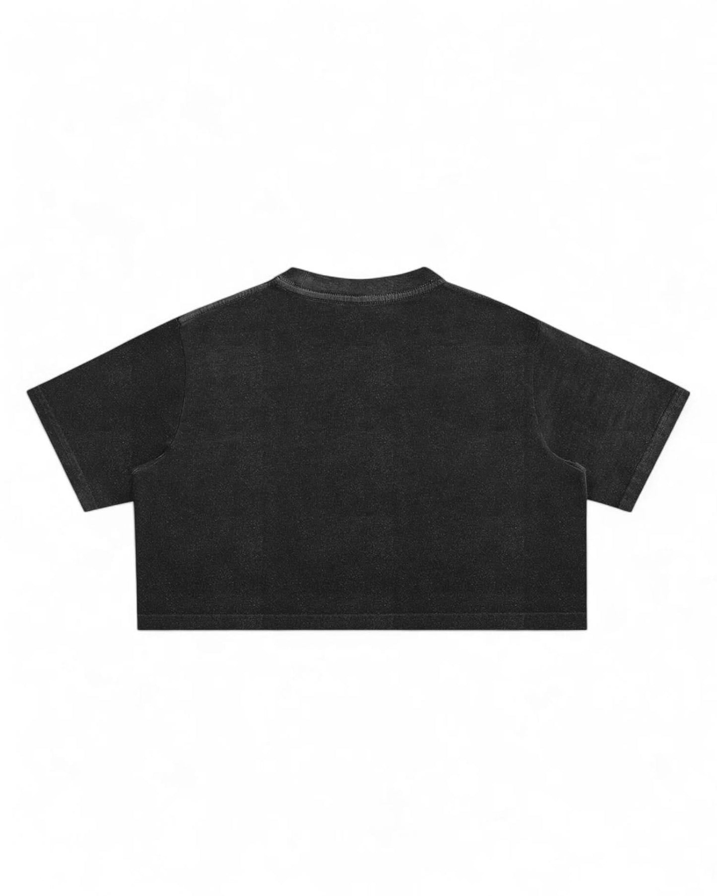 Washed Crop Top - Boat Party Chic