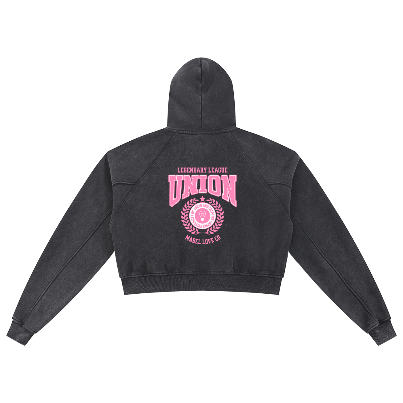 Snow Washed Cropped Hoodie