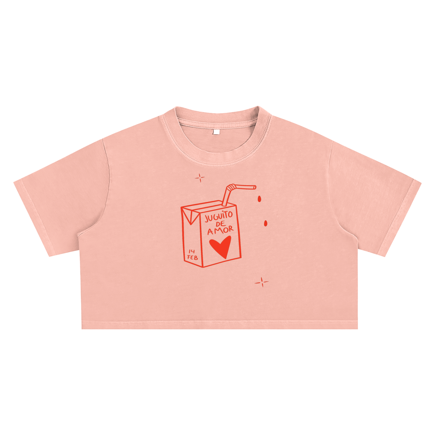 Washed Sweet Escape Regular Crop Top