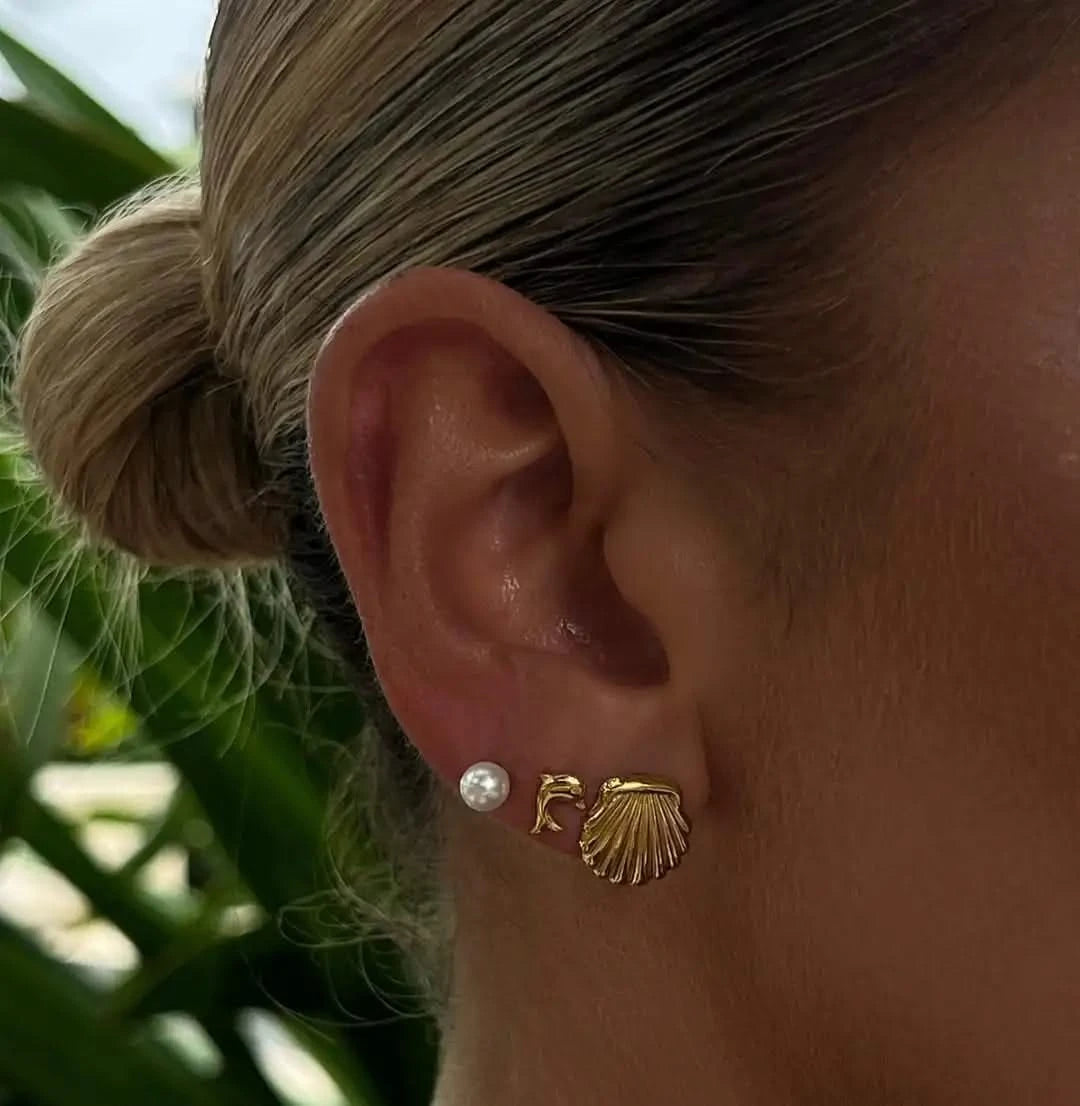 Dolphin, Ribbed Shell Earring Set - Gold Plated Stainless Steel