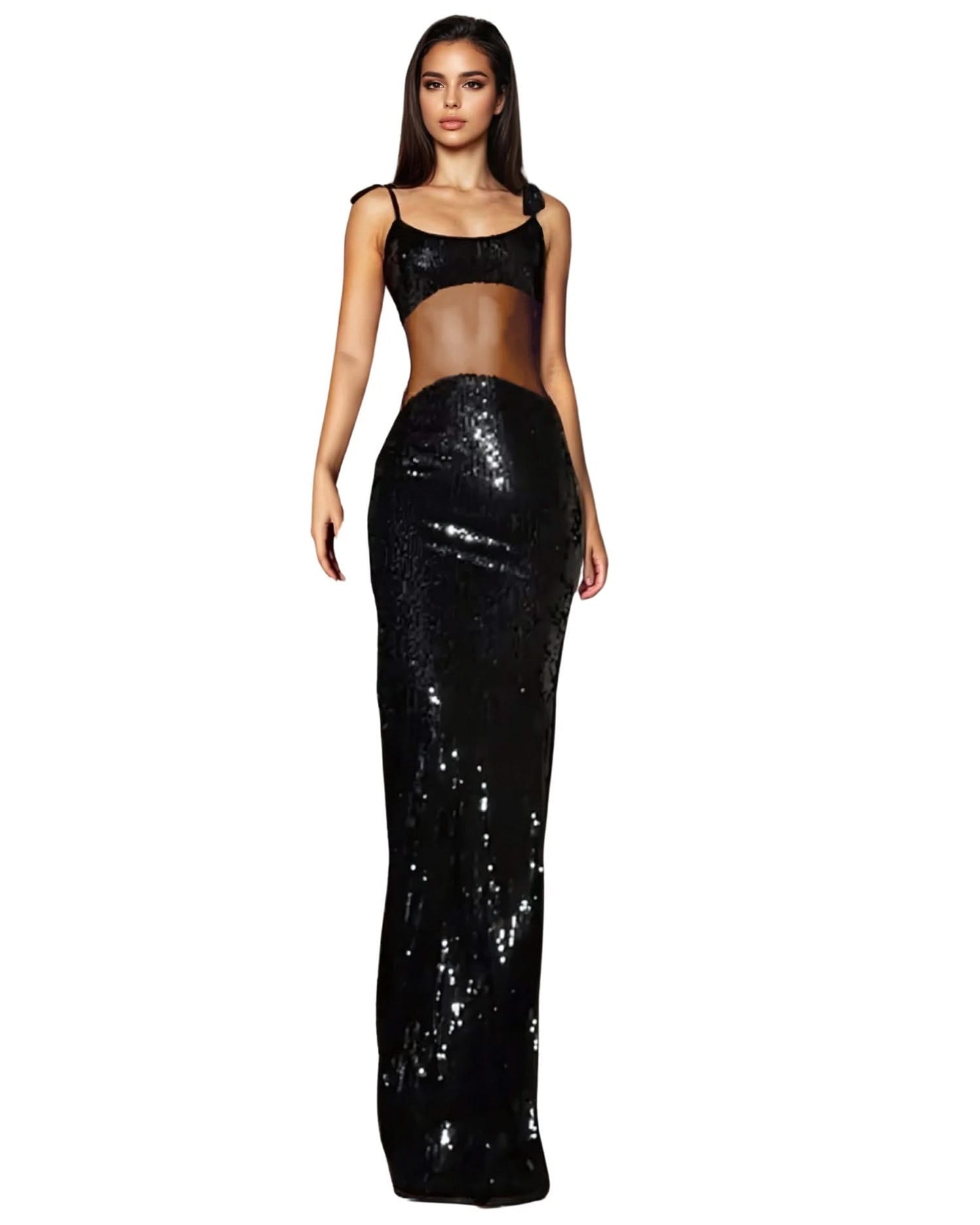 Glitter Sheer Maxi Gown - Sexy Bodycon Club
