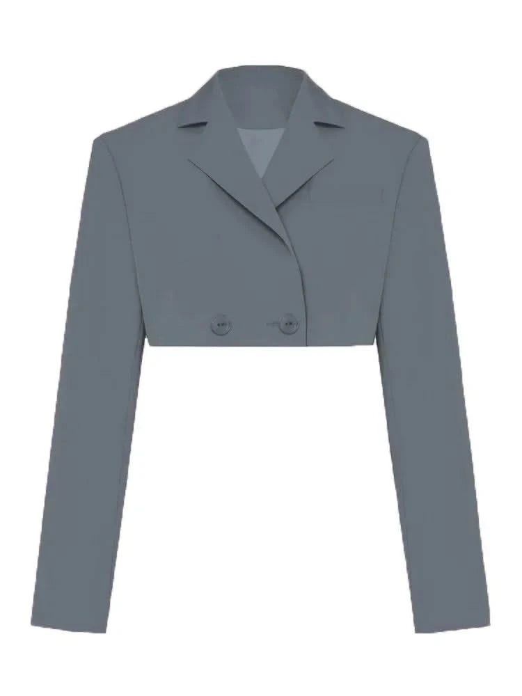 Gray Blazer Cropped Top Only