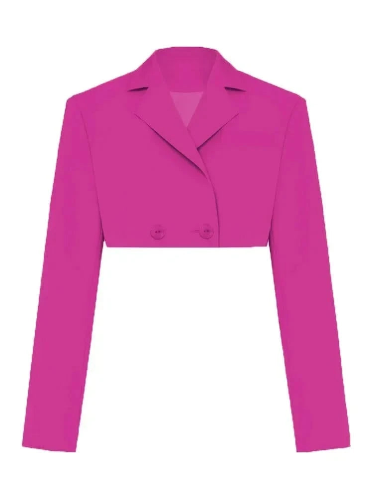 Rose Red Blazer Cropped Top Only