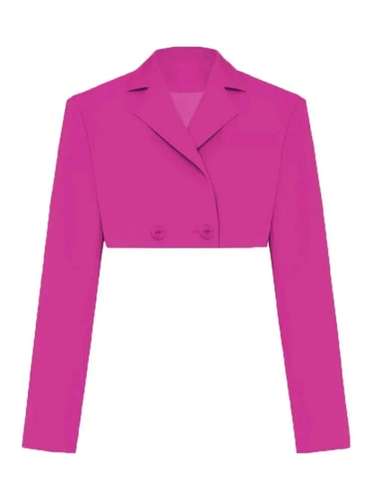 Rose Red Blazer Cropped Top Only