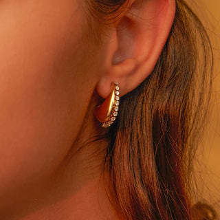 Stainless Steel Cashew Hoop Earrings