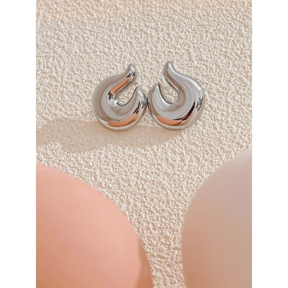 Geometric Stainless Steel Earrings