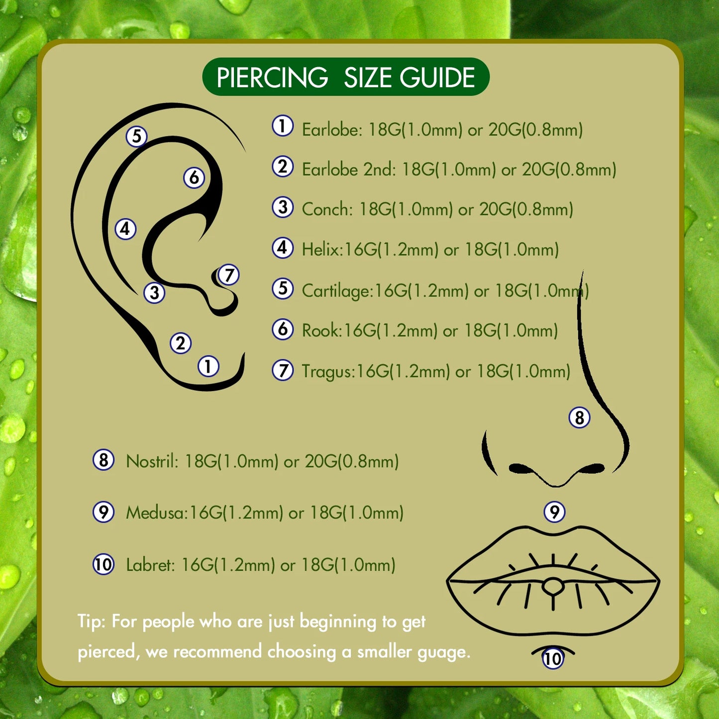 Piercing Jewelry Set - 5 Pieces