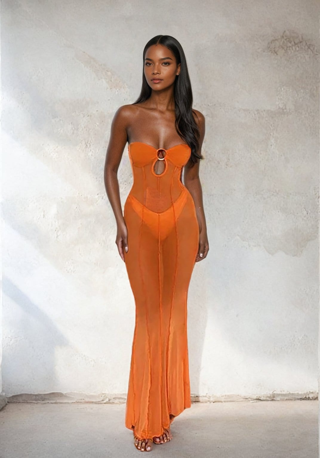 Mesh See through Maxi Long Dress