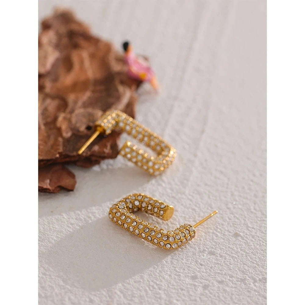 Micro Pave Hoop Earrings