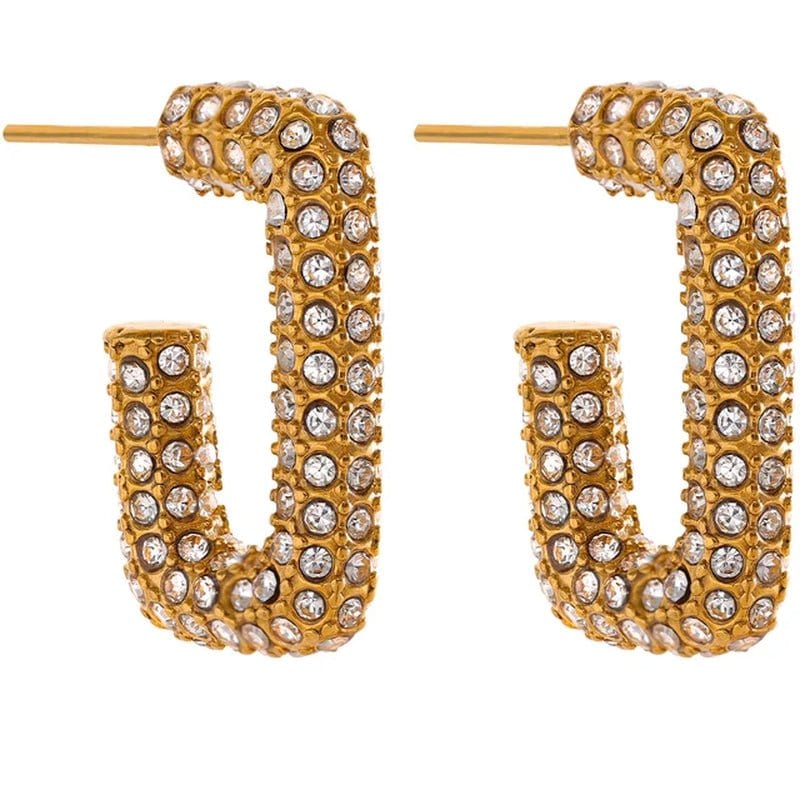 Micro Pave Hoop Earrings