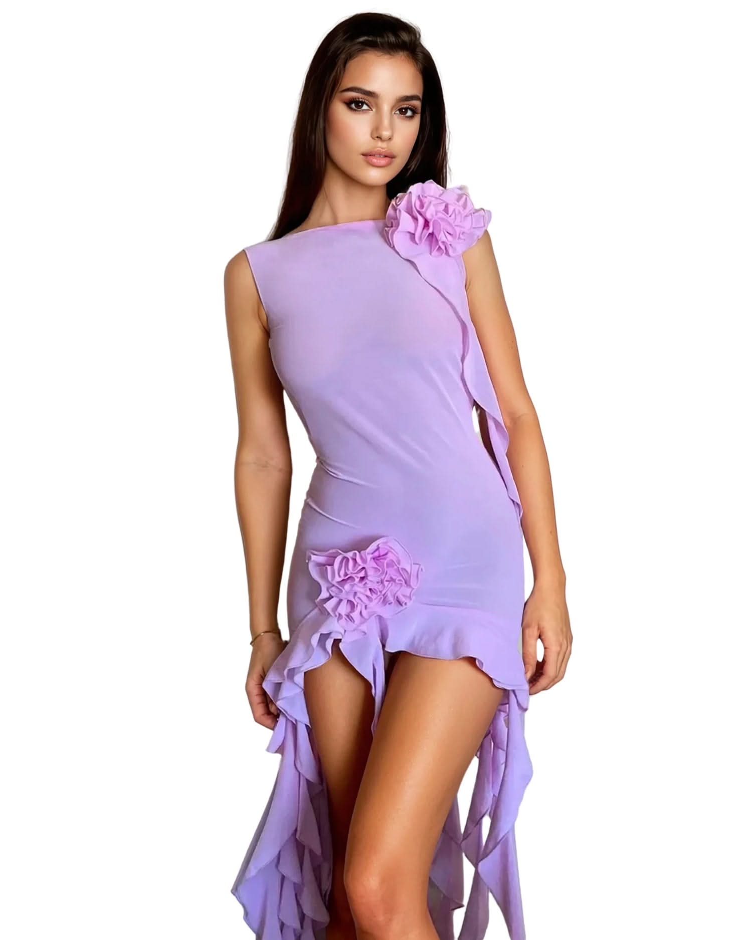 Sheer Ruffle Mini Dress - Sexy Party Style Sheer Ruffle Mini Dress - Sexy Party Style
